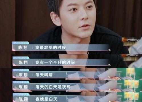 陈翔朋友圈最新爆料,揭秘娱乐圈不为人知的真相